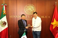 El presidente del Senado de México, Gerardo Fernández Noroña, entregó un regalo de recuerdo al embajador designado vietnamita, Nguyen Van Hai. (Foto: VNA)