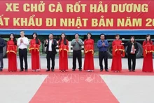 El primer ministro vietnamita, Pham Minh Chinh, asiste al acto de exportación de zanahorias a Japón (Foto:VNA)