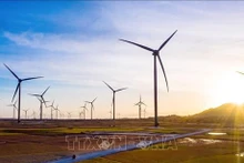 El complejo de energía renovable del grupo Trung Nam en el distrito de Thuan Bac, provincia de Ninh Thuan. (Fotografía: VNA)