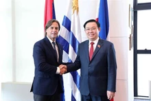 El titular de la Asamblea Nacional de Vietnam, Vuong Dinh Hue, sostuvo un encuentro con el presidente uruguayo, Luis Lacalle Pou (Foto: VNA)