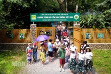 Turistas en el Parque Nacional de Cuc Phuong (Foto: baoninhbinh.org.vn)