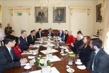 El secretario general del Partido Comunista de presidente de Vietnam, To Lam, sostiene conversaciones con el presidente de Irlanda, Michael D. Higgins. (Foto: VNA)