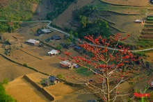 (Fotografía: toquoc.vn)