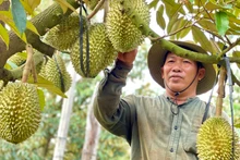 (Foto: baodaknong.vn)