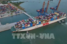 Recomiendan a empresas vietnamitas elegir estrategias adecuadas ante recesión económica