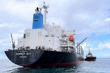 El barco Nemrut Bay, de nacionalidad panameña, (Foto:VNA)