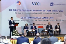 El vicepremier vietnamita Tran Luu Quang en la conferencia (Foto: VNA)