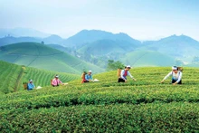 (Foto: baodautu.vn)