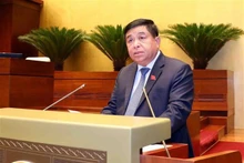 El ministro de Planificación e Inversión, Nguyen Chi Dung, interviene en la cita (Foto: VNA)
