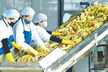 (Foto: vnbusiness.vn)