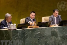 El embajador y jefe de la delegación permanente de Vietnam ante las Naciones Unidas, Dang Hoang Giang, preside una sesión de la Asamblea General de las Naciones Unidas (Foto:VNA)