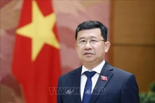 El jefe de la Comisión de Relaciones Exteriores de la Asamblea Nacional de Vietnam, Vu Hai Ha. (Foto: VNA)