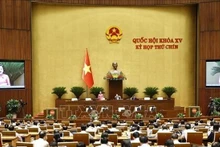 Panorama de la cita (Foto: VNA)