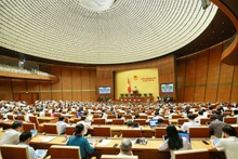 Foto de ilustración (Foto: VNA)
