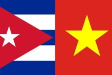 Desarrollar cooperación parlamentaria efectiva y sustantiva entre Vietnam y Cuba