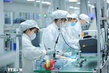 Vietnam impulsa formación de recursos humanos para industria de semiconductores y tecnologías digitales. (Foto: VNA)