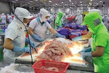 Comercio exterior de Vietnam alcanzó récord de casi 800 mil millones de dólares en 2024