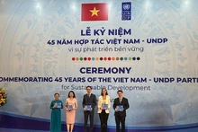 Durante la ceremonia por el 45º aniversario de la asociación Vietnam-PNUD (Foto: VNA)