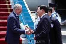 El primer ministro de Australia, Anthony Albanese, fue recibido en el aeropuerto internacional de Noi Bai por el ministro, jefe de la Oficina del Gobierno vietnamita, Tran Van Son (Foto: VNA)