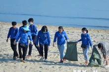 Una campaña de limpia de playas en Da Nang (Fotografía: VNA)