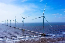 Periódico Nikkei Asia aprecia potencial de energía eólica marina de Vietnam