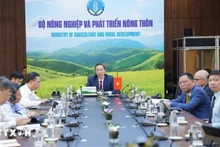 El viceministro de Agricultura y Desarrollo Rural, Phung Duc Tien, asistió a la 46ª Reunión en línea de Ministros de Agricultura y Silvicultura de la Asean. (Foto: VNA)