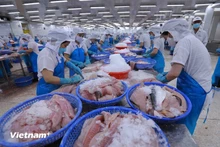 Procesamiento de productos del mar para la exportación (Foto: VNA)