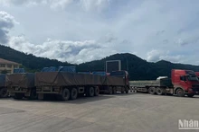 Comercio entre Laos y Vietnam llega a mil 100 millones de dólares en primeros siete meses de 2024
