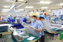 Cada mes se crean y ponen en funcionamiento 18 mil 400 nuevas empresas. (Foto: VNA)