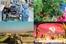 Objetivos de crecimiento en algunos sectores e industrias vietnamitas