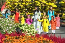 Foto de ilustración. (Foto: baochinhphu.vn)