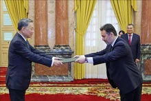 El presidente vietnamita, To Lam, recibe las cartas credenciales del embajador de Pakistán, Kohdayar Marri. (Fuente:VNA)