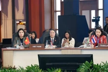 El vicepresidente de la Asamblea Nacional de Vietnam Nguyen Duc Hai participa en la cita. (Foto: VNA)