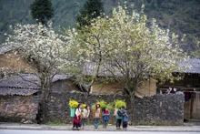 La belleza de la gente y el hermoso paisaje son lo que atrae a los turistas a Ha Giang. (Foto: VNA)