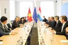 El viceprimer ministro permanente de Vietnam, Nguyen Hoa Binh, trabaja con el ministerio de Finanzas de Luxemburgo. (Foto: VNA)