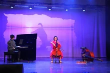 Una de las actuaciones artísticas en el programa (Foto:VNA)