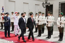 El presidente de Vietnam, Luong Cuong, y el su par chileno, Gabriel Boric, pasan revista a la guardia de honor.