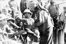 Camboyanos llevan jugo de jaggery a los soldados voluntarios vietnamitas durante los días de ayudar a los camboyanos en la cosecha de arroz, una imagen imbuida de la solidaridad binacional en la lucha para derrocar al régimen genocida de Pol Pot (Fotografía: VNA) 