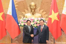 El presidente de la Asamblea Nacional de Vietnam, Vuong Dinh Hue, mantiene la reunión con el presidente filipino, Ferdinand Romualdez Marcos Jr. (Foto: Nhan Dan)