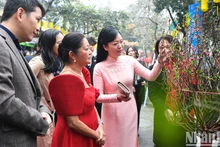 [Foto] Esposas de presidentes vietnamita y filipino visitan mercado de flores de Hang Luoc 