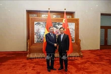 El ministro de Seguridad Pública de Vietnam, To Lam (izquierda), se reúne con Chen Wenqing, secretario de la Comisión de Asuntos Políticos y Jurídicos del Comité Central del Partido Comunista de China. (Foto: VNA)