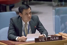 El embajador y jefe de la delegación permanente de Vietnam ante las Naciones Unidas (ONU), Dang Hoang Giang (Foto: VNA)