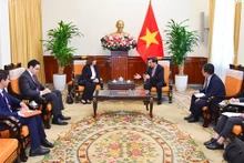 El ministro de Relaciones Exteriores de Vietnam, Bui Thanh Son, recibe en Hanói a la embajadora de Egipto en el país, Amal Abdel Kader Elmorsi Salama (Foto:VNA)