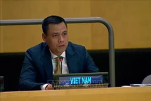 Dang Hoang Giang, representante permanente de Vietnam ante la Organización de Naciones Unidas. (Foto: VNA)