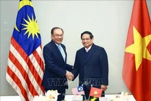 El primer ministro de Vietnam, Pham Minh Chinh (derecha, se reúne con su homólogo malasio, Anwar Ibrahim (Foto: VNA)