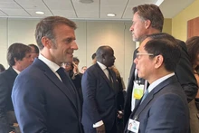 El viceprimer ministro y canciller de Vietnam, Bui Thanh Son, y el presidente francés, Emmanuel Macron. (Foto: VNA)