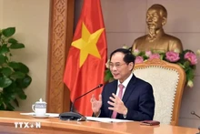 El viceprimer ministro y canciller de Vietnam, Bui Thanh Son. (Foto: VNA)
