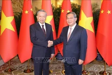 El secretario general del Partido Comunista y presidente de Vietnam, To Lam, y el primer ministro de China, Li Qiang (Foto: VNA)