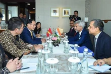 El canciller vietnamita, Bui Thanh Son, sostiene el encuentro con su homólogo de la India, Subrahmanyam Jaishankar (Foto:VNA)