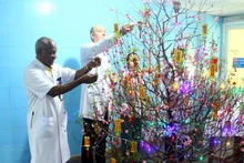 Expertos cubanos decoran árbol de melocotón para dar la bienvenida al Tet en el Hospital de Amistad Vietnam-Cuba de Dong Hoi, en Quang Binh. (Foto: VNA)